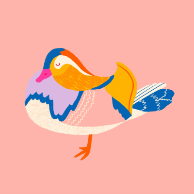 Illustration of a colourful duck.